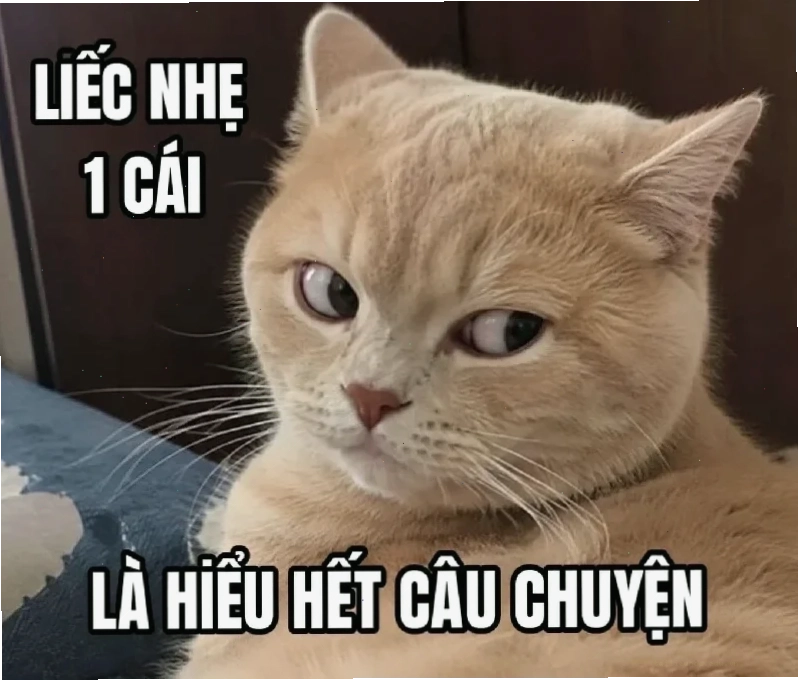 meme em đẹp lắm meme em đẹp lắm