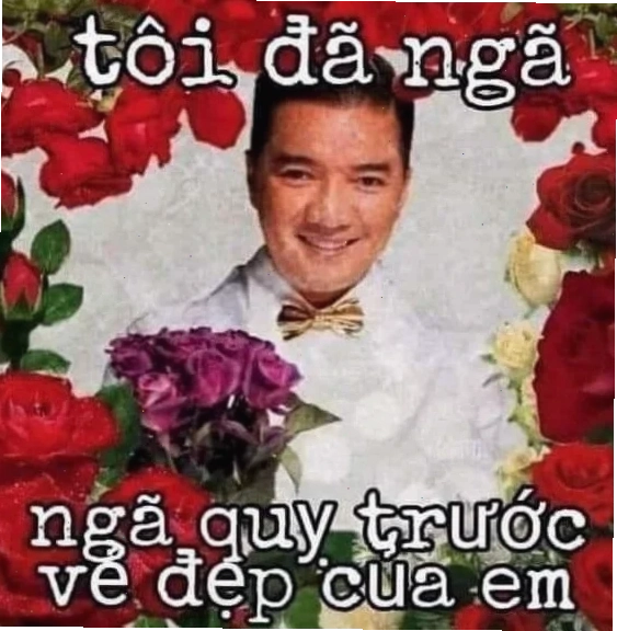 meme em đẹp lắm meme em đẹp lắm
