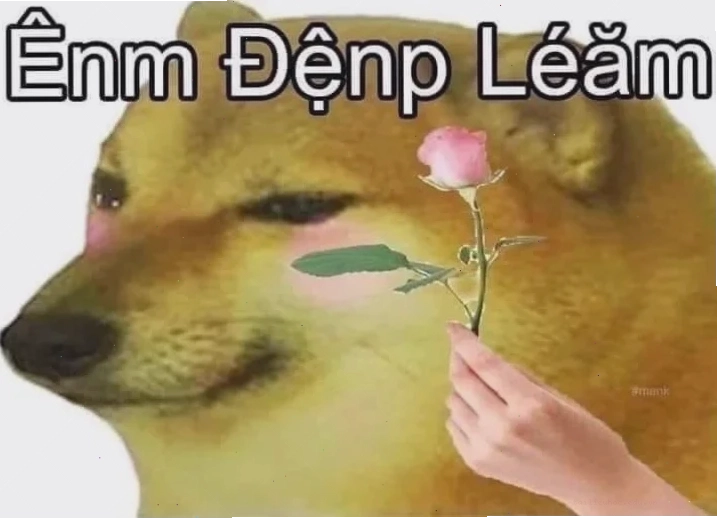 meme em đẹp lắm meme em đẹp lắm