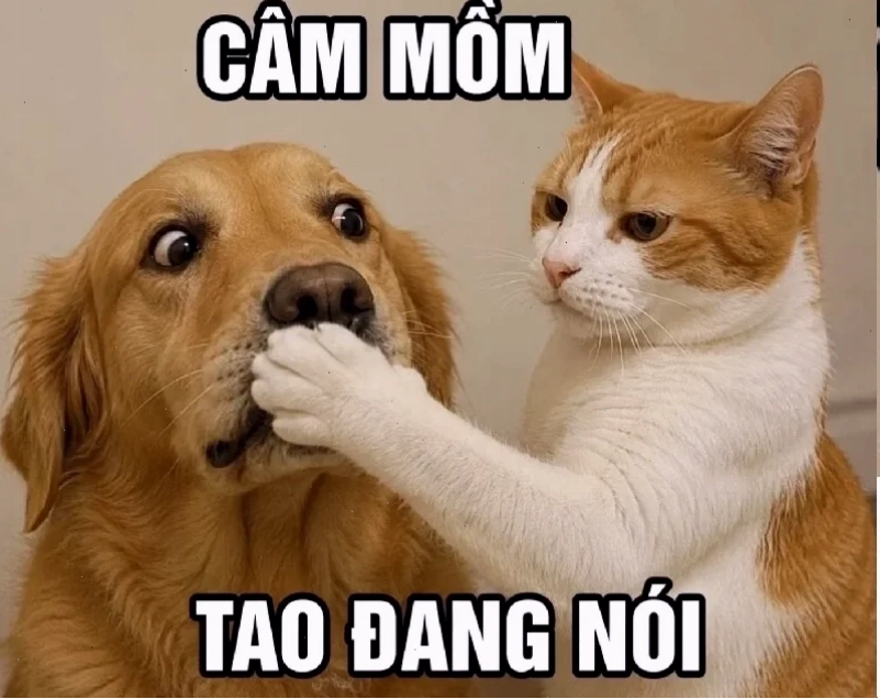 meme em đẹp lắm meme em đẹp lắm