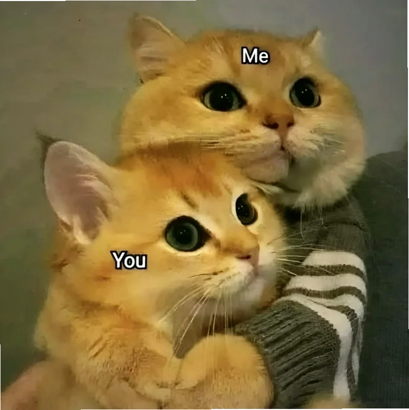Đèn vàng lãng mạn Meme em yêu anh đèn vàng