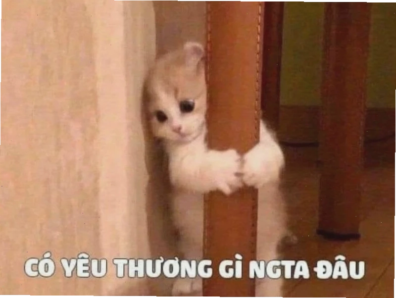 Đỏ mặt ngại ngùng Meme em yêu anh đỏ mặt