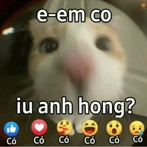 Nắm chặt tay nhau Meme em yêu anh nắm tay