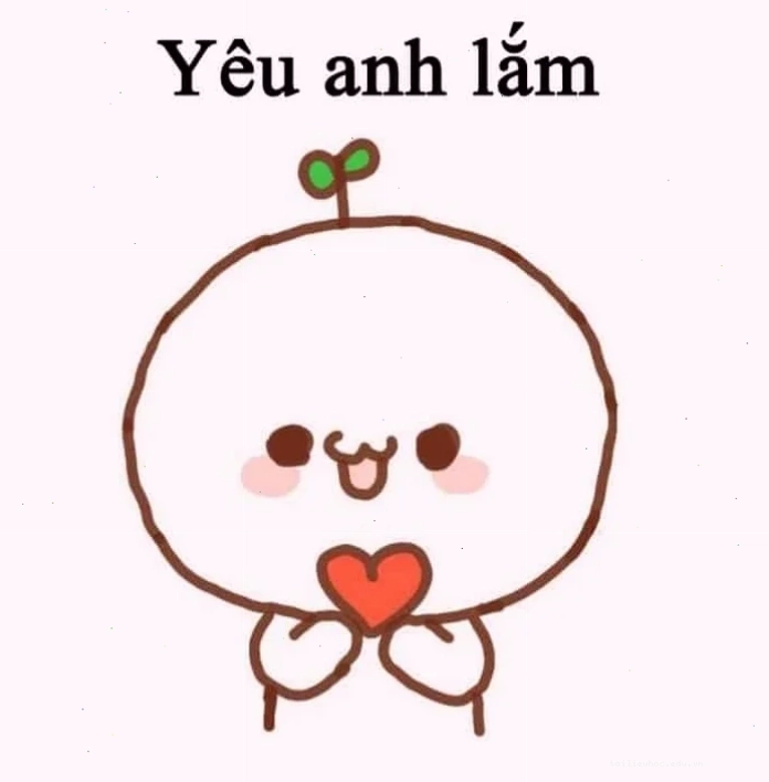 Tặng hoa hồng Meme em yêu anh tặng hoa