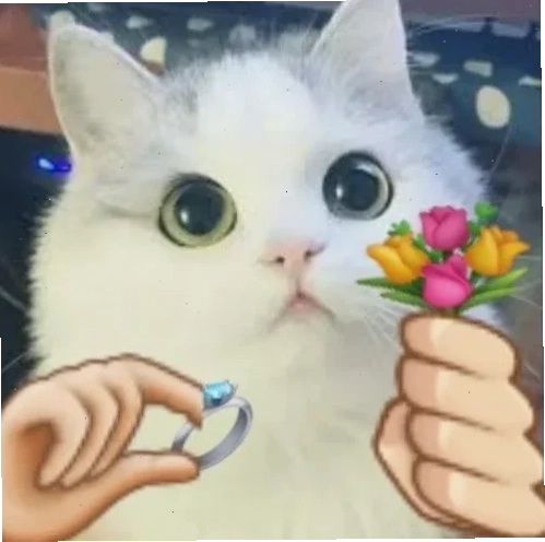 Thổn thức lòng nhau Meme em yêu anh thổn thức