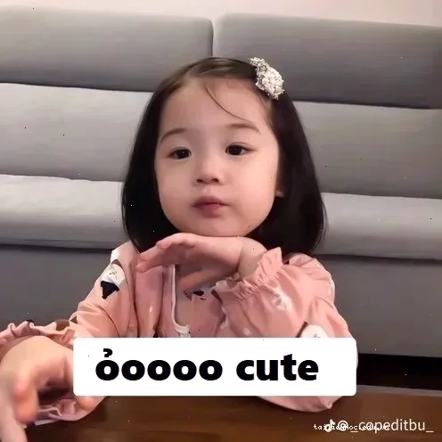 Meme gấu bông xinh đẹp tuyệt vời meme