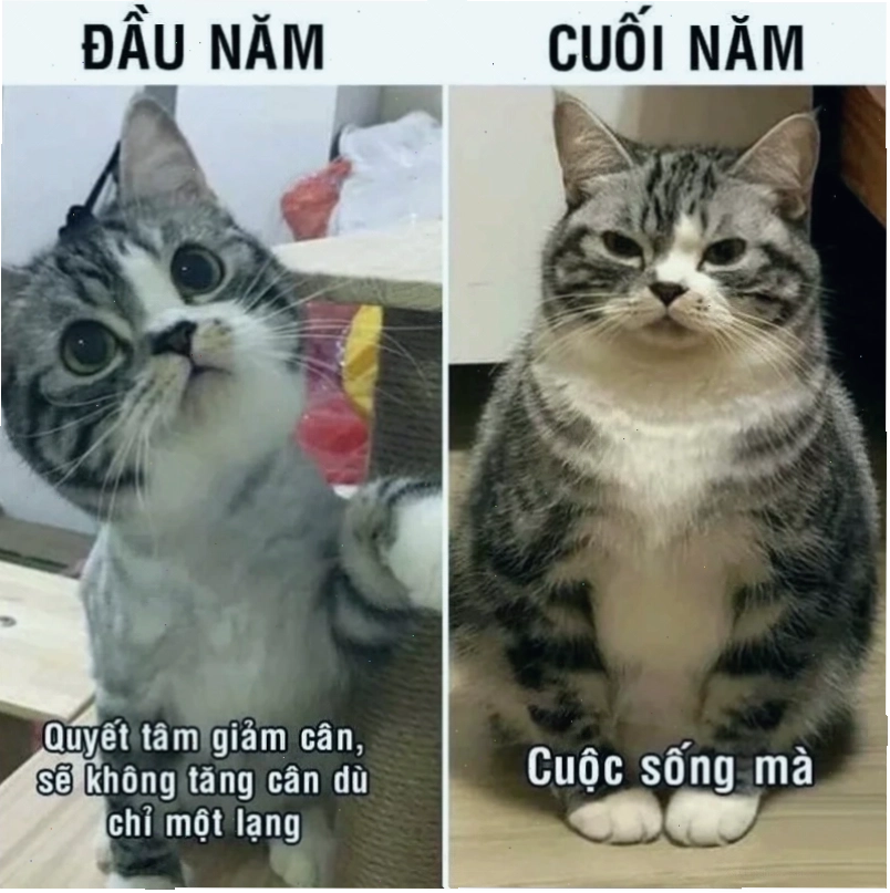 Nản lòng phòng gym meme giảm cân đứng trước phòng gym