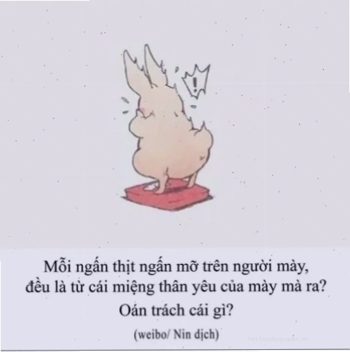 Tiếc nuối vì cheat tối meme giảm cân khi ăn cheat