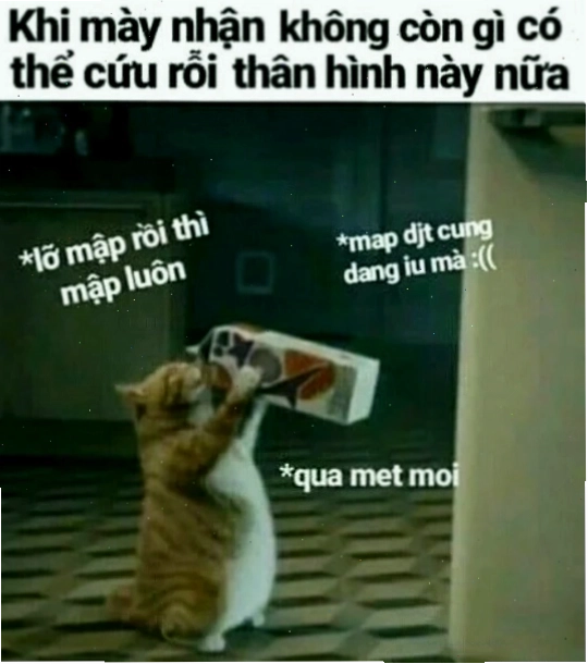 Điệp khúc ngày mai meme giảm cân ngày mai bắt đầu