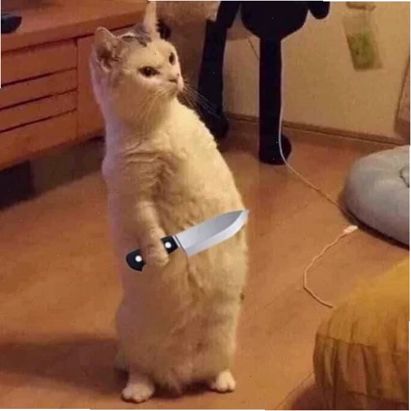 Thầy giáo cầm phóng lợn meme giáo viên cầm phóng lợn