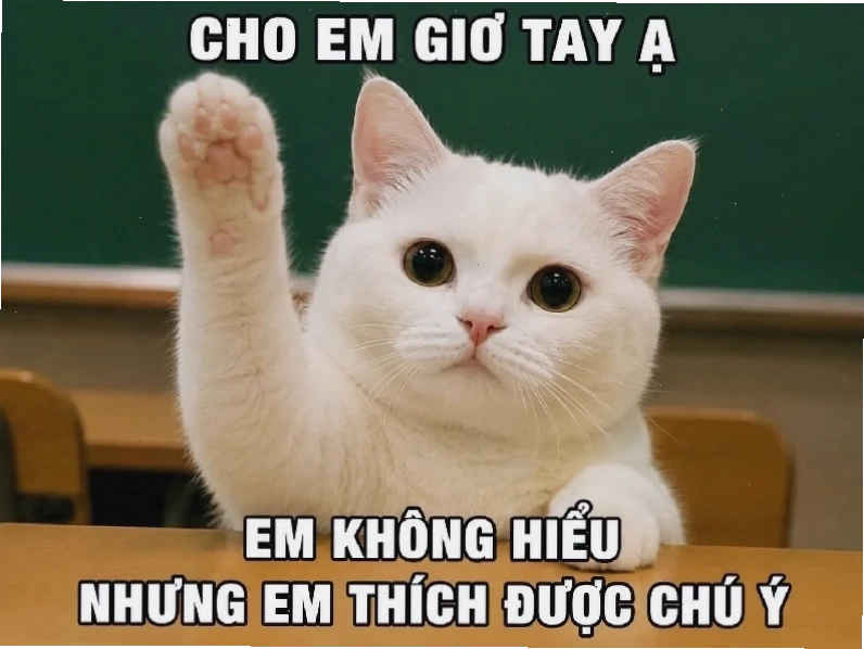 meme gõ đầu meme gõ đầu