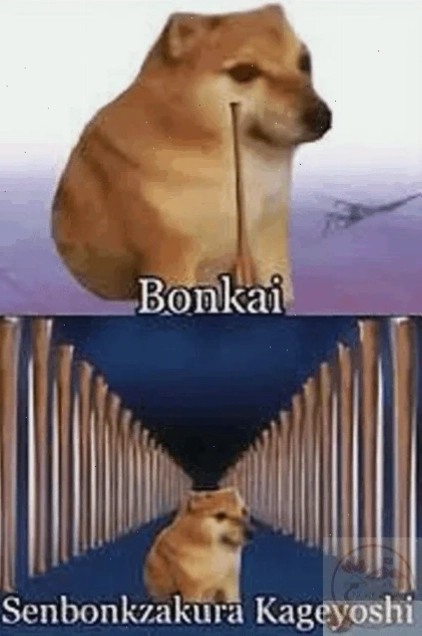 meme gõ đầu meme gõ đầu