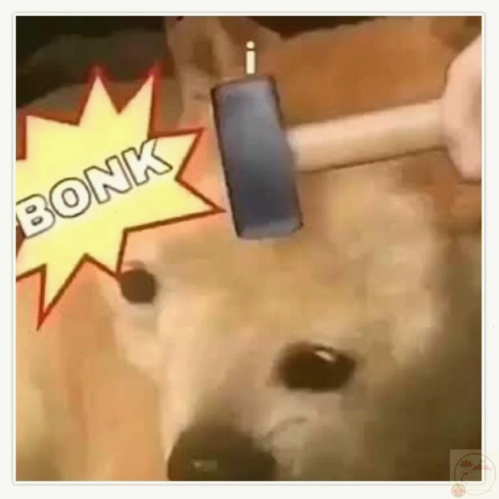 meme gõ đầu meme gõ đầu