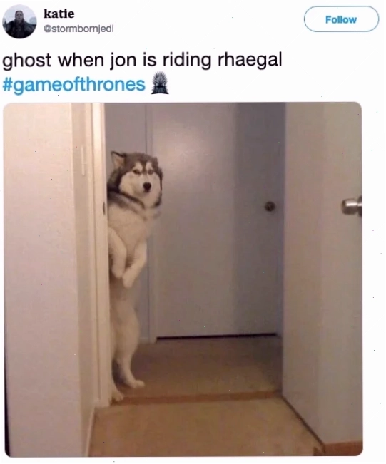 meme gõ đầu meme gõ đầu