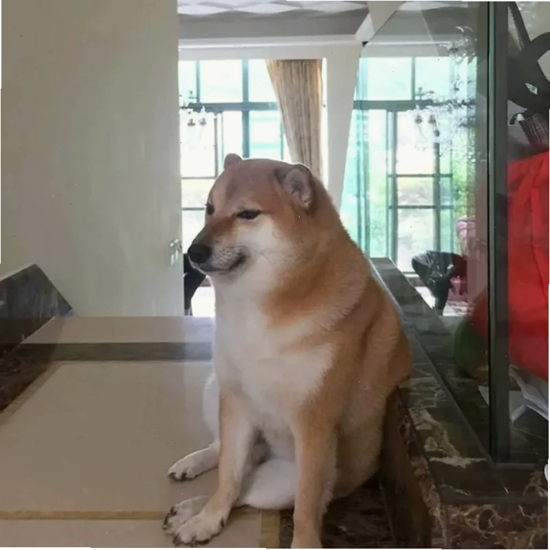 meme gõ đầu meme gõ đầu