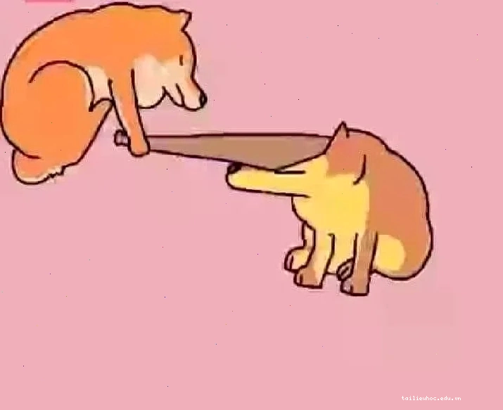 meme gõ đầu meme gõ đầu