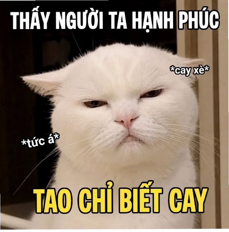 meme gõ đầu meme gõ đầu