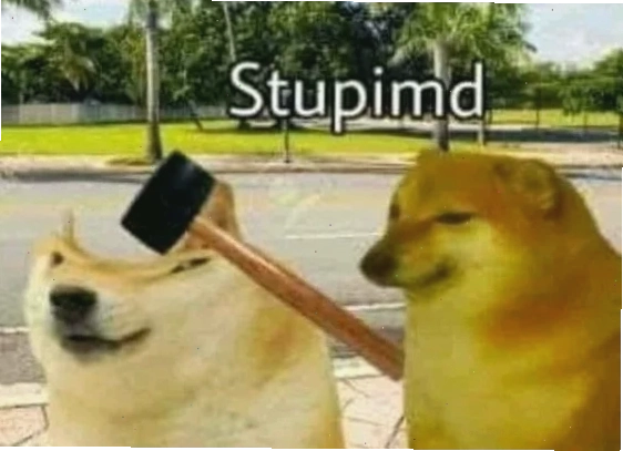meme gõ đầu chó meme gõ đầu chó