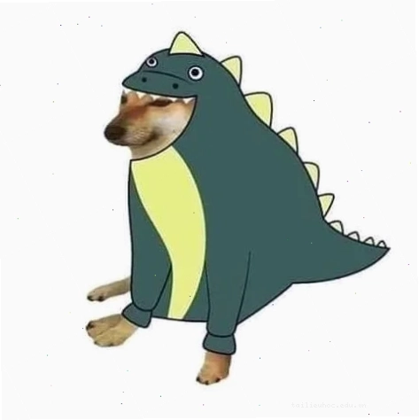 meme hài meme hài