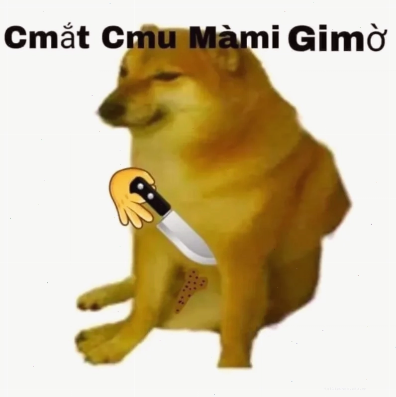 meme hài meme hài