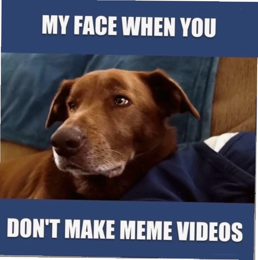 Meme vui meme hài hước