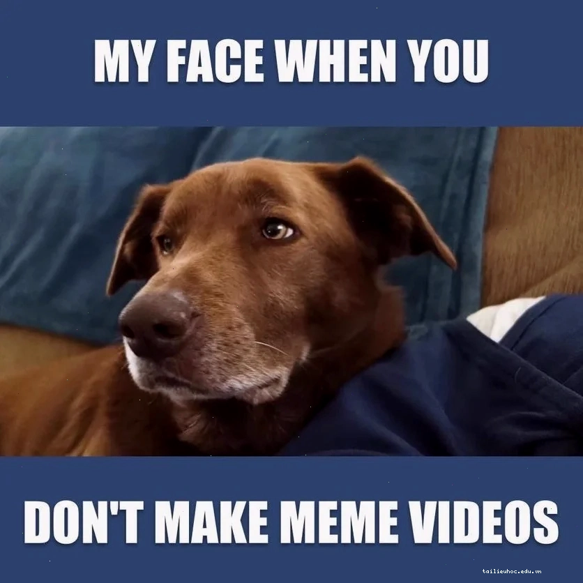 meme hài hước