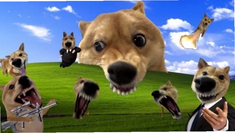 Meme hài hước khác làm hình nền hài bựa