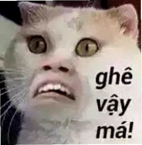 Meme hệ lầy làm hình nền hài bựa