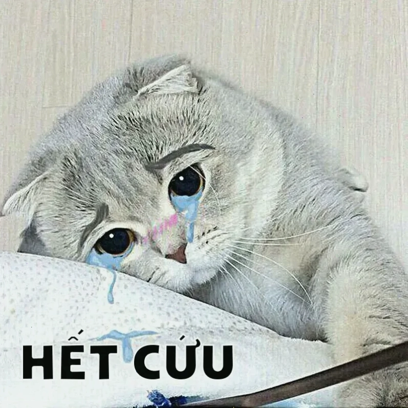 Hết cứu cuối meme hết cứu