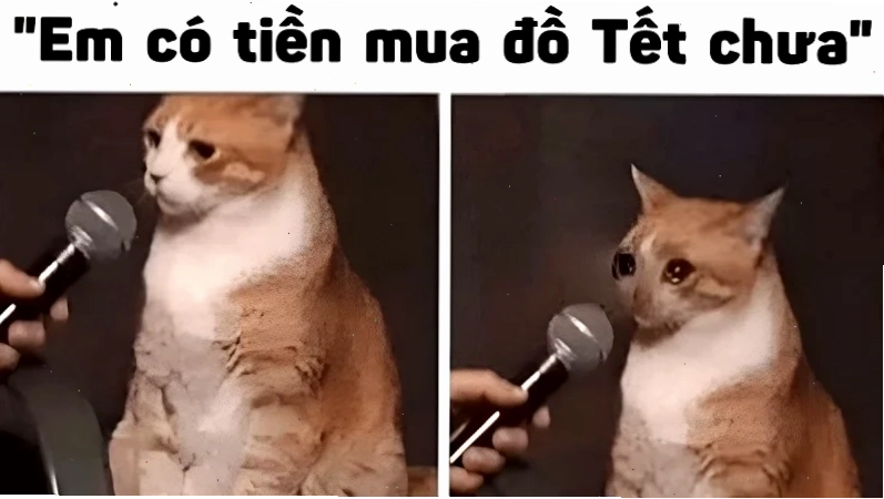 meme hết tiền tết meme hết tiền