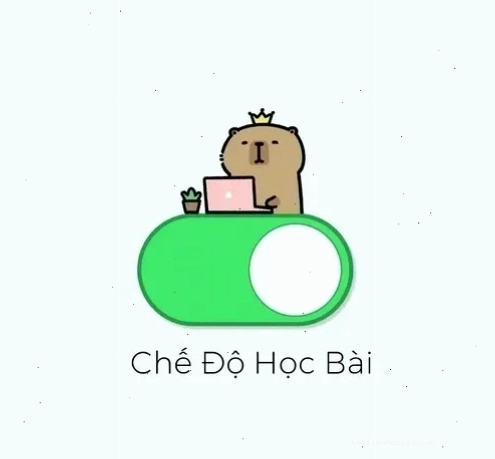 meme học bài đi meme học bài đi bùng nổ