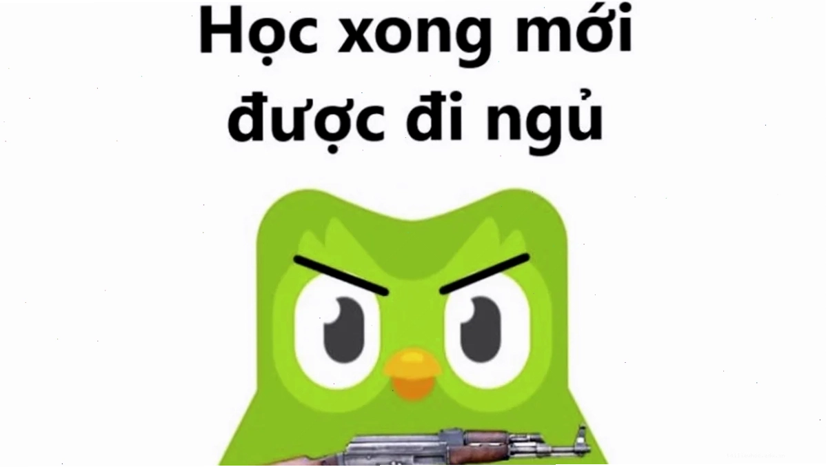 meme học bài đi meme học bài đi làm não đơ