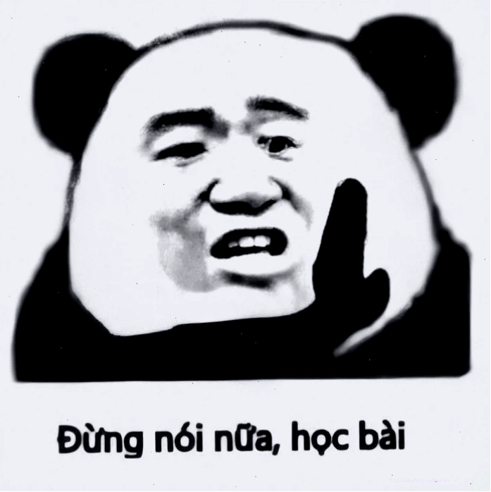 meme học bài đi meme học bài đi lúc áp lực