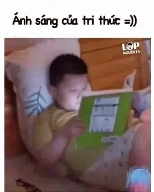 meme học bài đi meme học bài đi lúc buồn ngủ