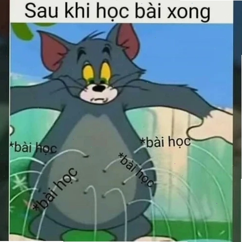 meme học bài đi meme học bài đi với giáo án