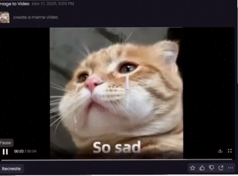 Meme im đi meme im miệng