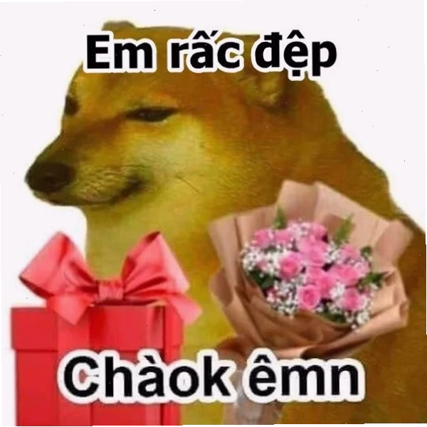 Meme khen ngợi xinh đẹp tuyệt vời meme