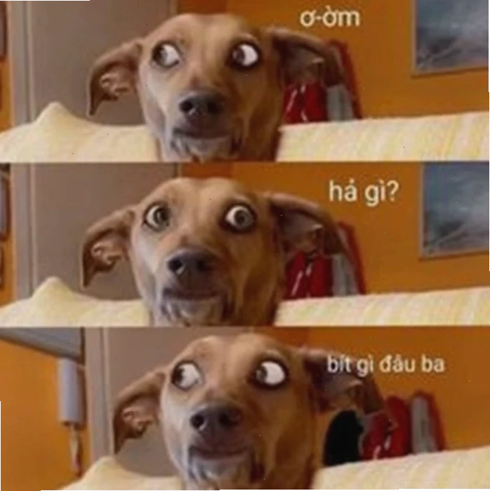 Gương mặt khó đỡ meme không biết gì hết gương mặt khó đỡ