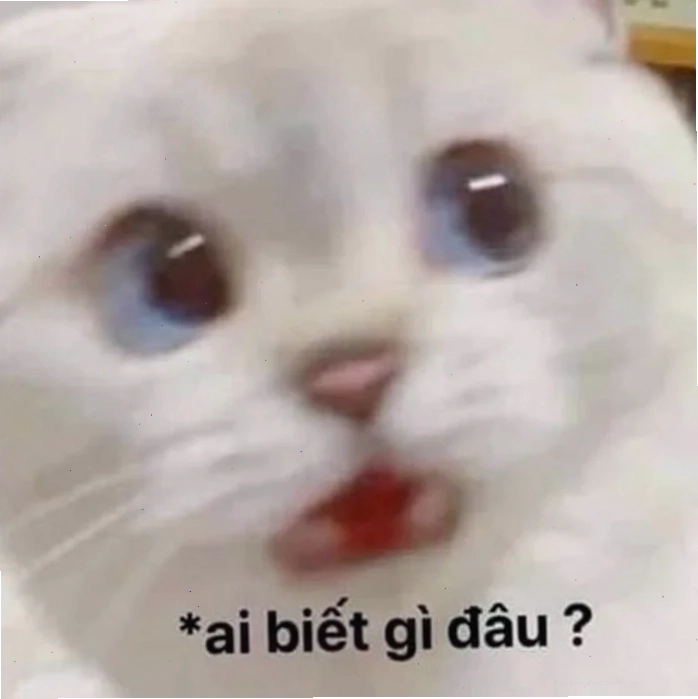 Mèo Tom biểu cảm meme không biết gì hết từ phim hoạt hình