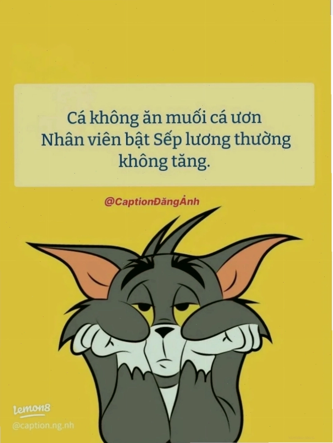 Meme không biết mình đang làm gì quá đủ rồi quá mệt rồi meme