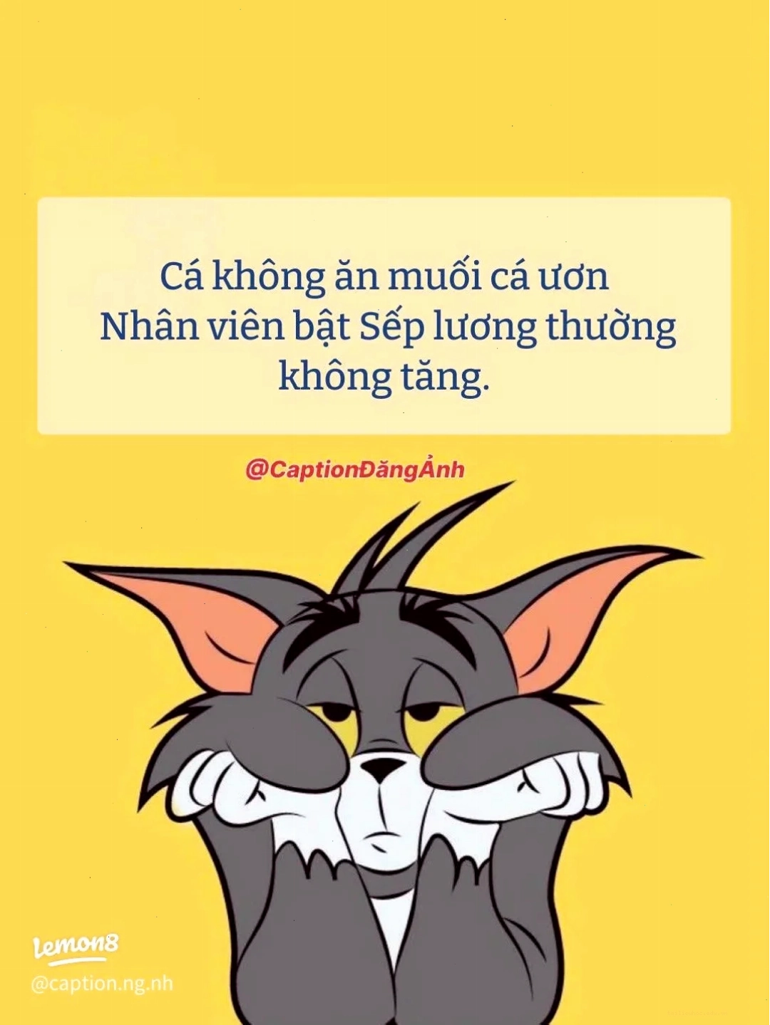 Meme không biết mình đang làm gì quá đủ rồi quá mệt rồi meme