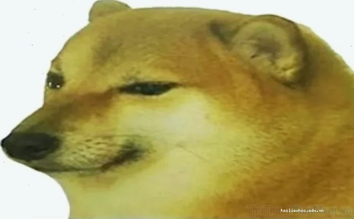 meme không chữ meme không chữ