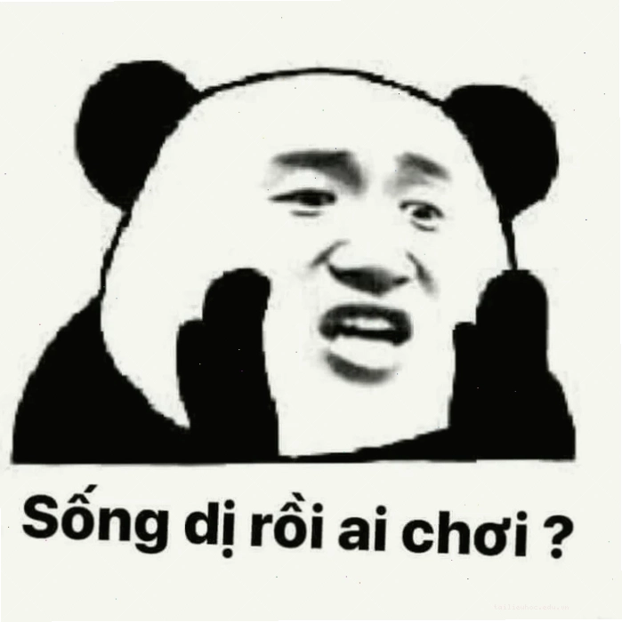 meme không chữ meme không chữ