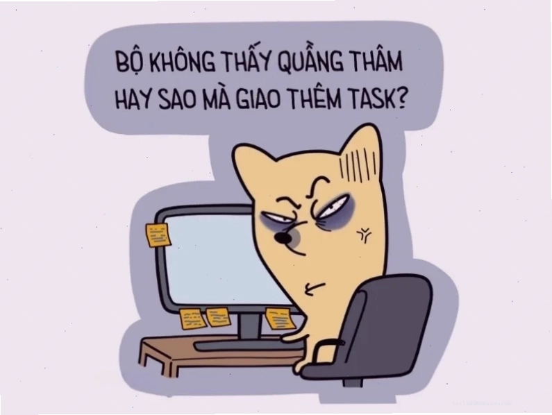 meme không chữ meme không chữ