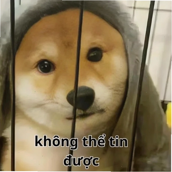 meme không chữ meme không chữ