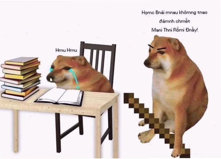 meme không chữ meme không chữ