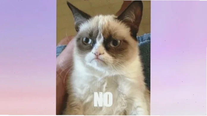 meme không chữ meme không chữ