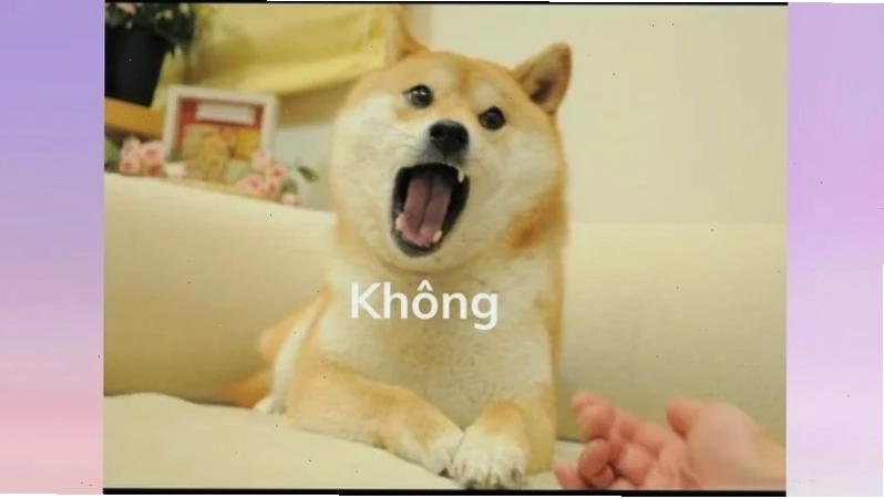 meme không chữ meme không chữ