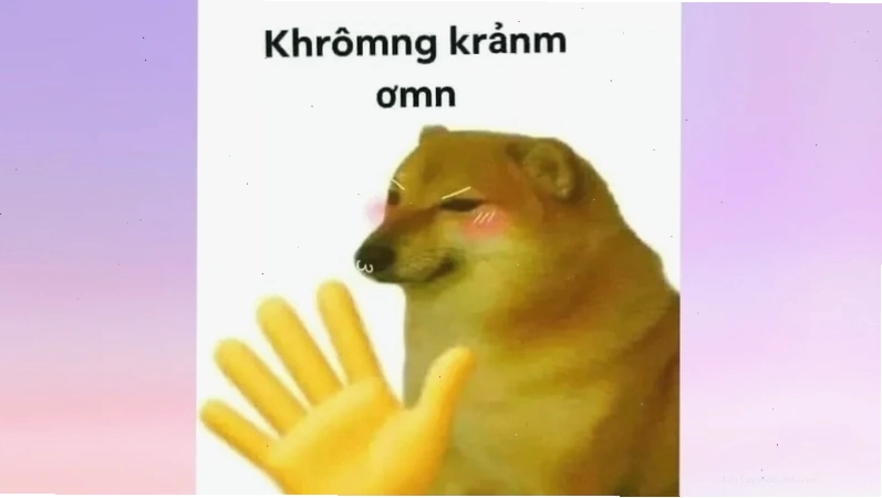meme không chữ meme không chữ
