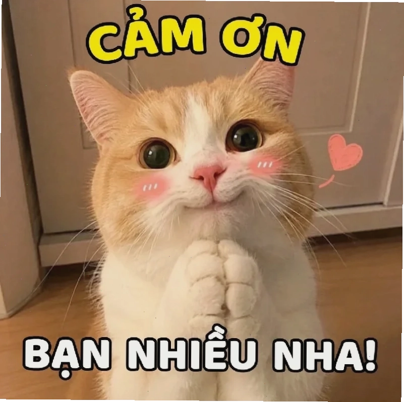 meme không chữ meme không chữ